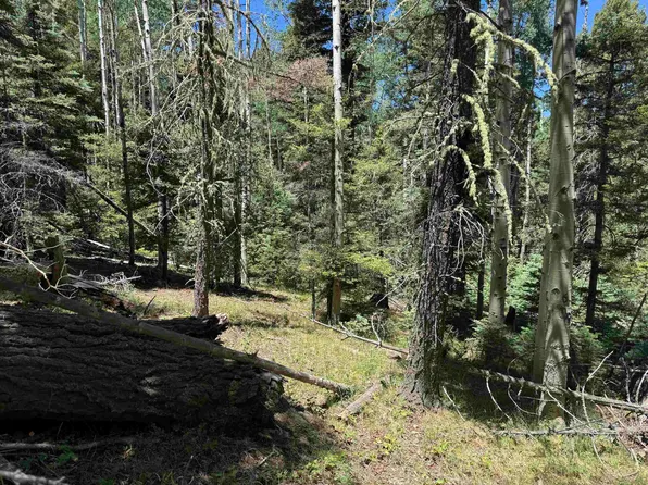 Lot 374A Vail Loop, Angel Fire, NM 87710