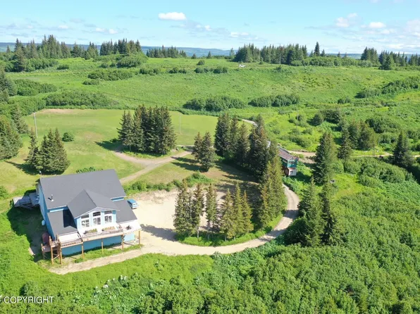61255 Ohlson Mountain Rd, Homer, AK 99603