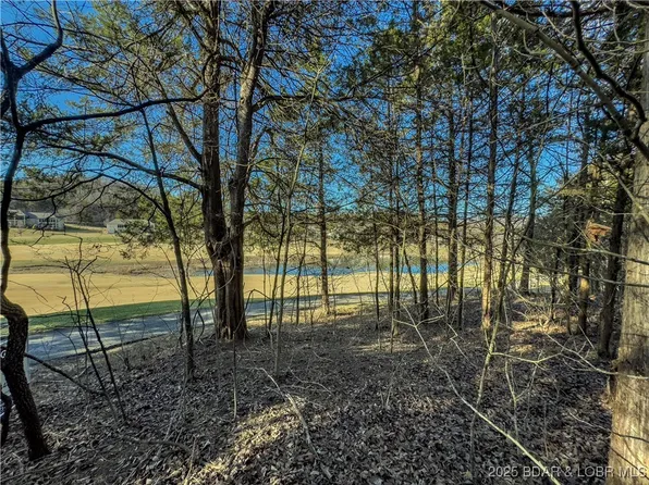 LOT 26 Country Ridge Dr, Camdenton, MO 65020
