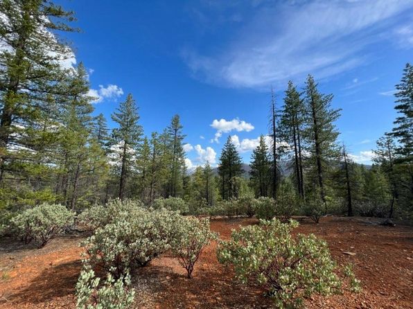 876 Blue Knoll Rd, Greenville, CA 95947