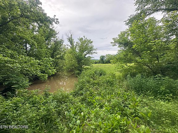 3rd image of Livesay Chapel Rd