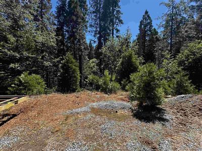 17073 E Brookside Dr, Sonora, CA, 95370