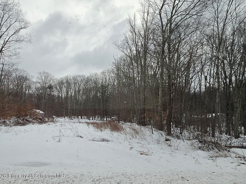 2nd image of Forest St