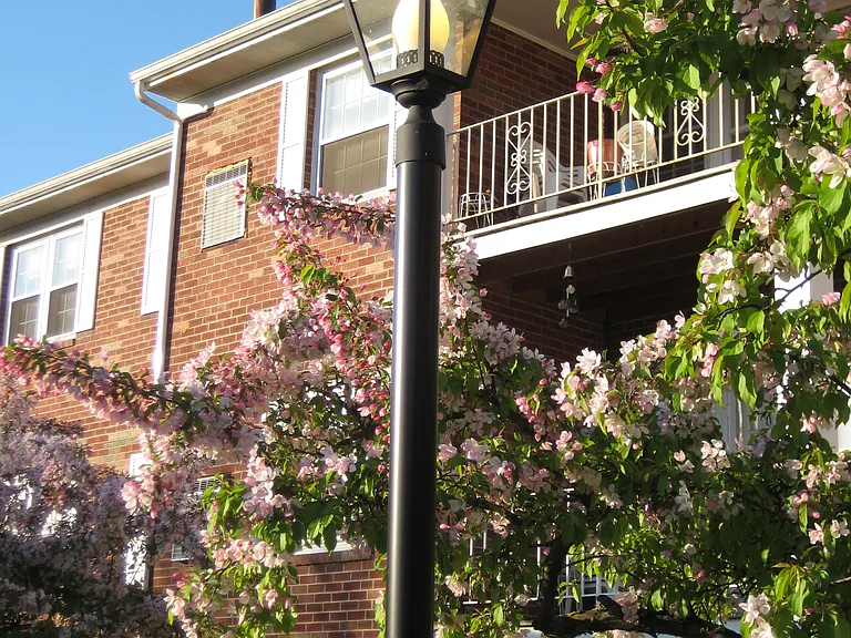 Park Hill Lane Apartments — Photo 6