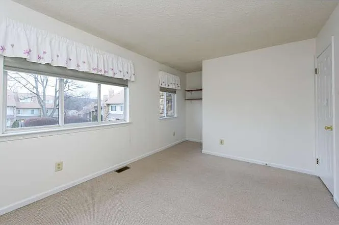 421 Cannon Ct — Photo 19