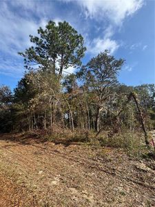 Locust Radl Lot 12, Ocala, FL, 34472