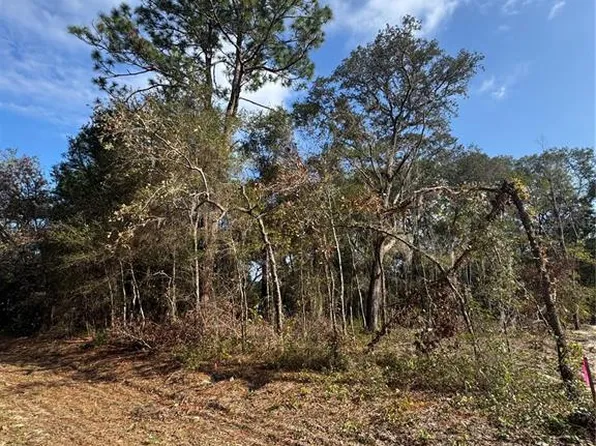 Locust Radl Lot 12, Ocala, FL 34472