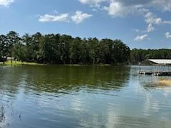 711 Galaxy Dr S, Georgetown, GA 39854