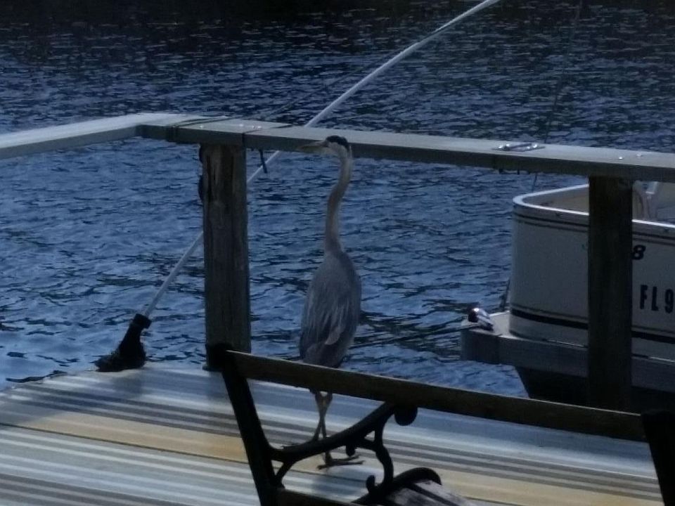 Boat dock