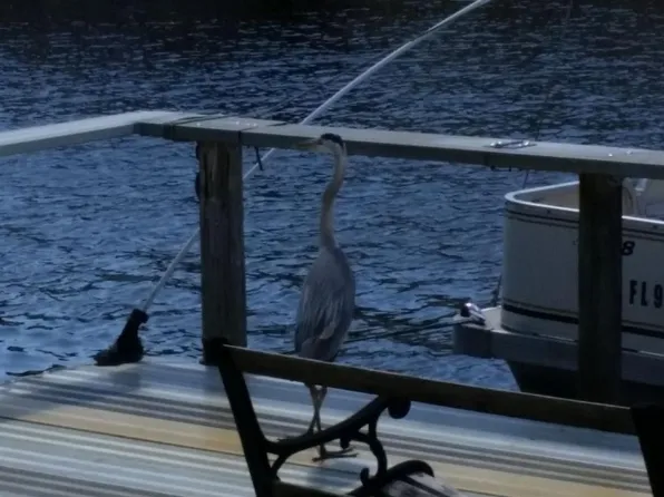 2532 SE 29th St, Okeechobee, FL 34974