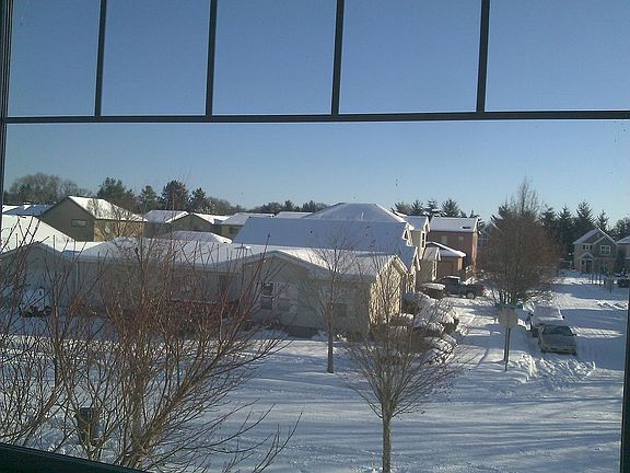 View from the front window
