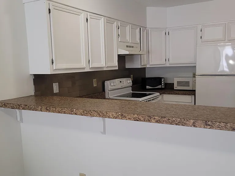 313 Lake Place Condo Dr — Photo 9