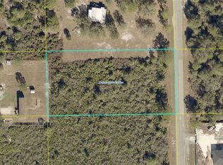 540 S Cabbage Palm St, Clewiston, FL 33440