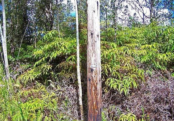 Power pole #18 and left side of lot 484.