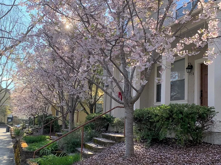 862 Nobel Dr — Photo 14