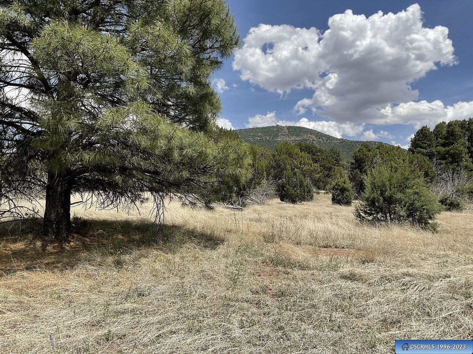 Brushy Mountain Rd, Mule Creek, NM 88051 MLS 39723 Zillow