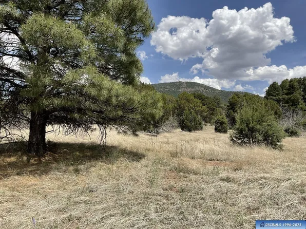 Brushy Mountain Rd, Mule Creek, NM 88051