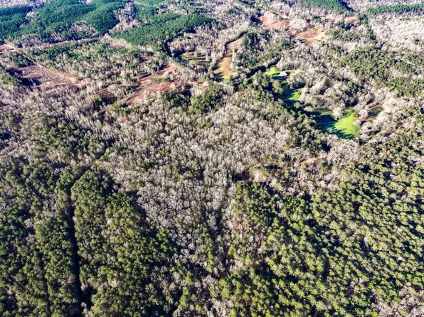 TRACT 1 New Harmony Dr, Lineville, AL 36266