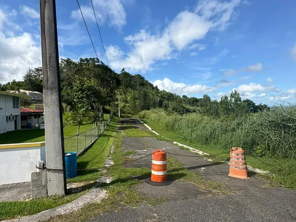3 Margarita, Aibonito, PR 00705