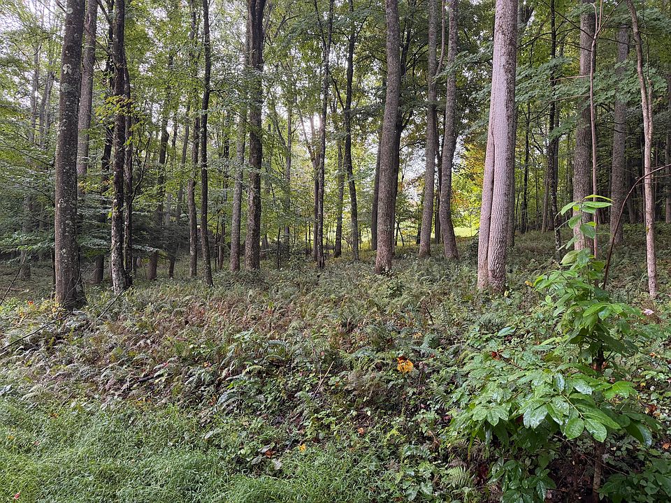 2nd image of LOT 42 Bright Pond Rd