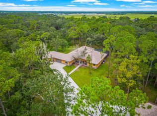 17706 Morgan Hammock Ct, Parrish, FL 34219