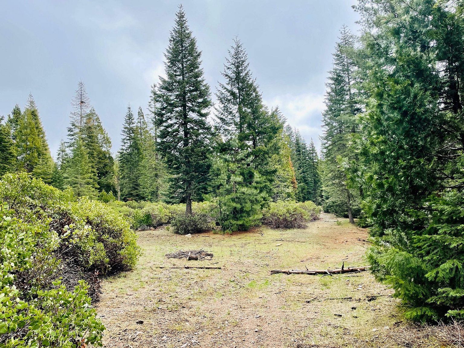 41 Skyview Rd, Mount Shasta, CA 96067 Zillow