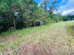 138 Bradwell Ln, Midway, FL 32343