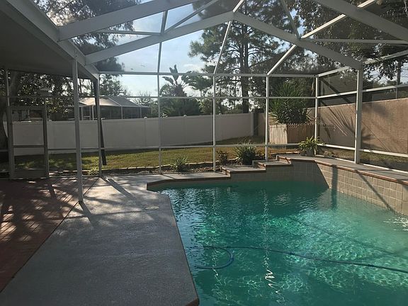 Pool & backyard