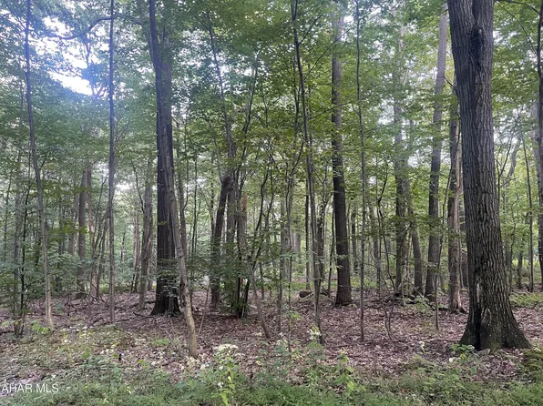 0 Chimney Way Lot 151, Claysburg, PA 16625