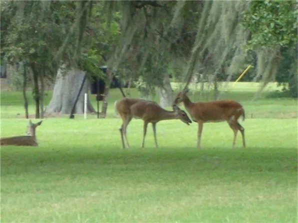 461 Rancho Chico Trl, Angleton, TX 77515