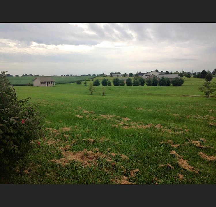 2nd image of 1120 Wallie Clements Rd