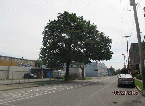 2nd image of 1034 E Kentucky St