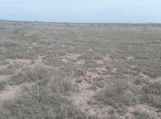 447 Iceplant Rd, Estancia, NM 87016