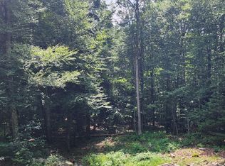 Ness Rd, Dingmans Ferry, PA 18328