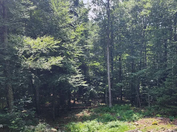 Ness Rd, Dingmans Ferry, PA 18328