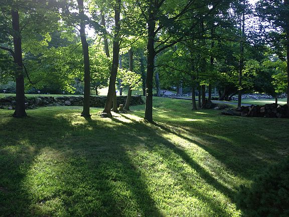 Sunny yet shaded front lawn