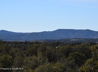 723 Road 4600, Navajo Dam, NM 87419