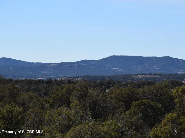 723 Road 4600, Navajo Dam, NM 87419