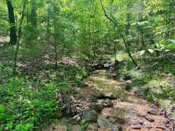 10A Kiowa Dr, Hardy, AR 72542