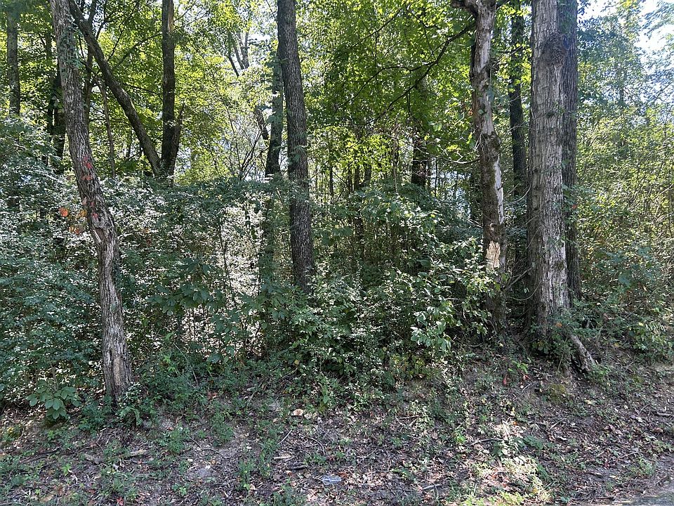 2nd image of 0 Horseshoe Bend Rd