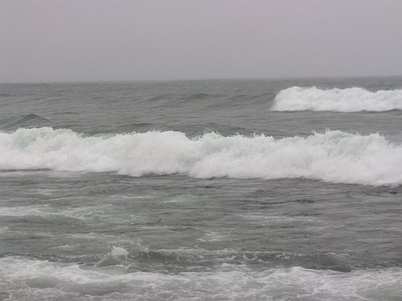 Surf's up -  wet suit time