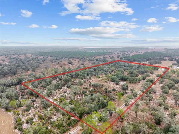 NE 131st Pl, Archer, FL 32618