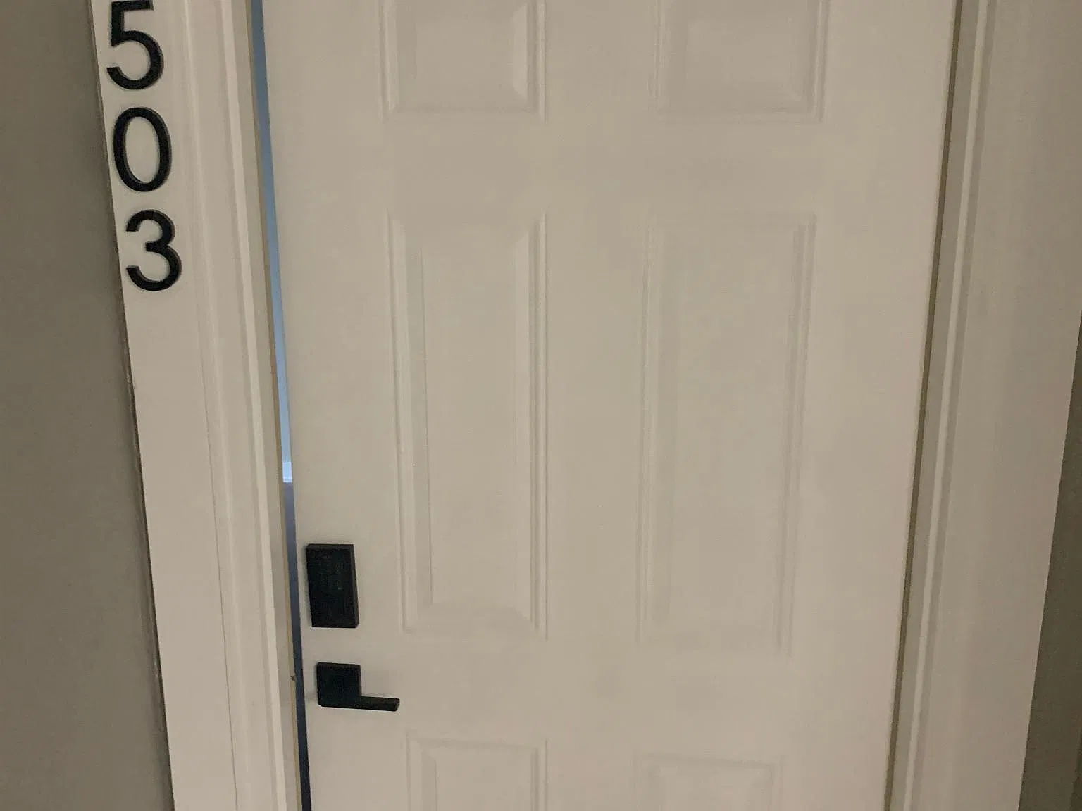 2 bed, 1000 sqft, $1,200 — Photo 4