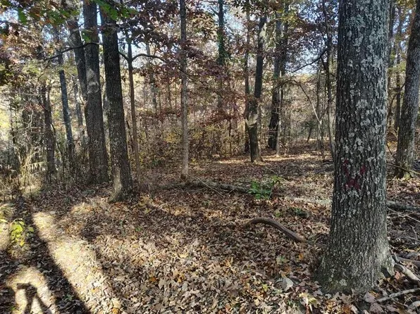 000 000 State Route Yy, Caulfield, MO 65626