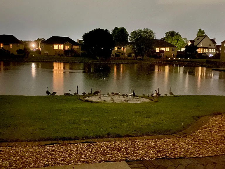 2621 Lake Lucerne Dr — Photo 47