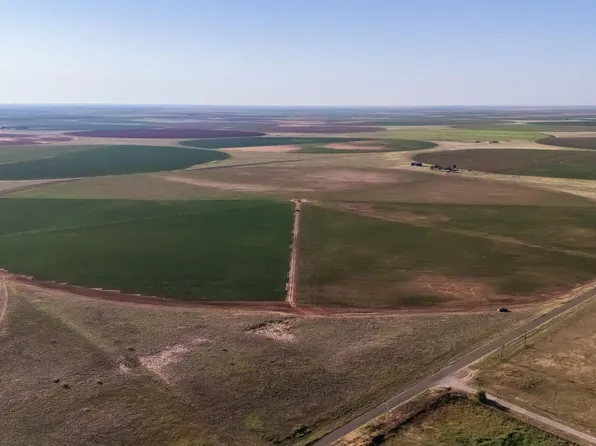 County Road 133 #133, Seagraves, TX 79359