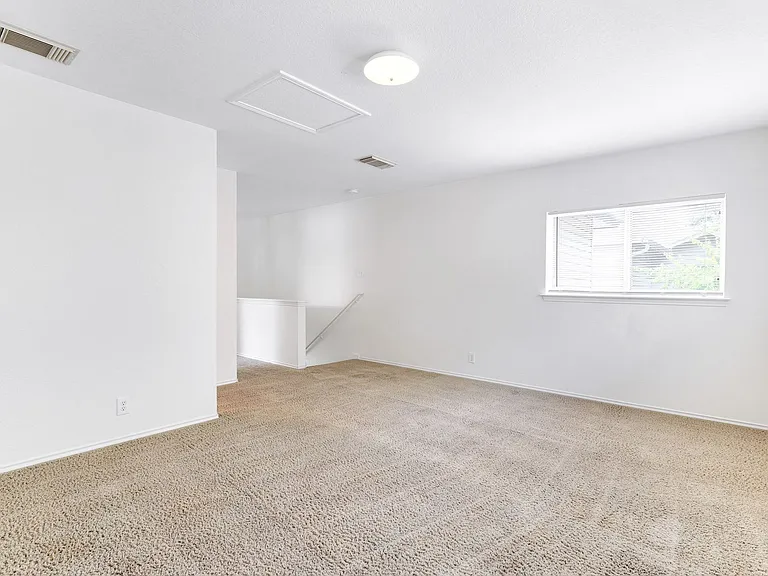 10106 Amber Flora Dr — Photo 11