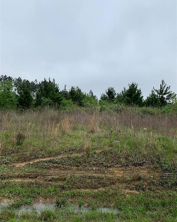 1st image of 347 County Road 5035