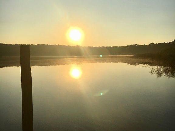 3rd image of 14707 Bream Pond Dr