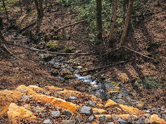 2nd image of 0 Mars Mountain Rd